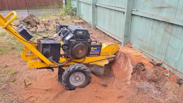 Yellow stump grinder machine grinding a tree stump beside a fence in a Rangiora backyard